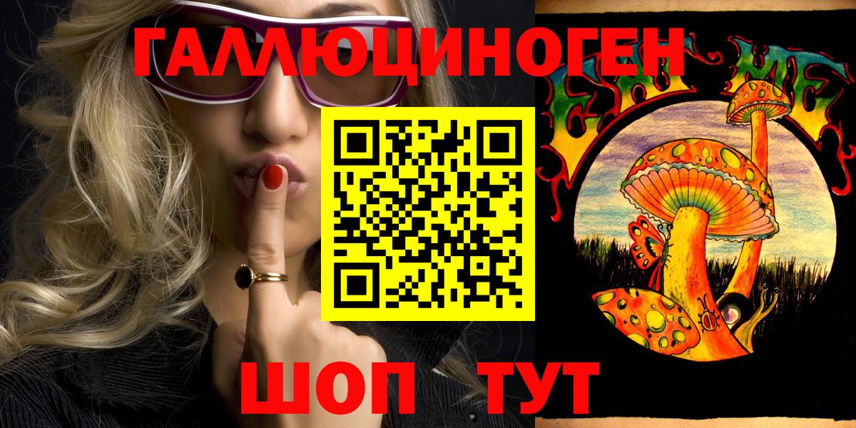 Псилоцибиновые грибы Psilocybe Губкин