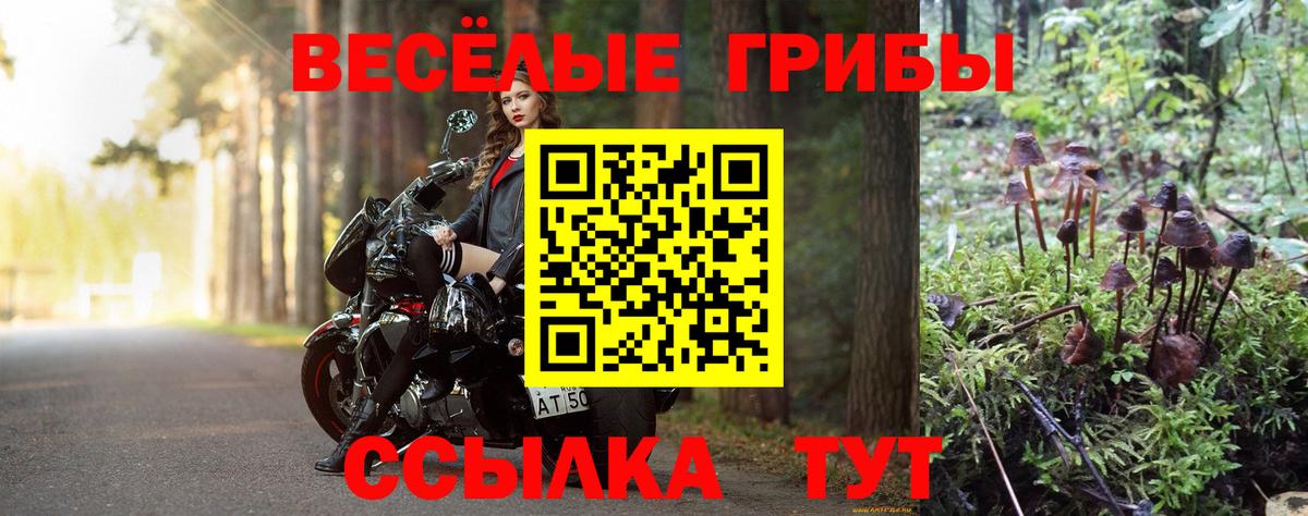 Губкин  Галлюциногенные грибы MAGIC MUSHROOMS  где купить наркоту  Вход с VPN 